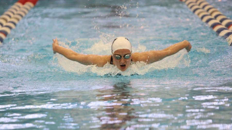 Swimming & Diving Falls to Penn State at Home