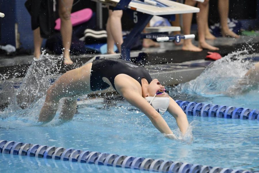 Swim & Dive Teams Host Opening Weekend for Cup
