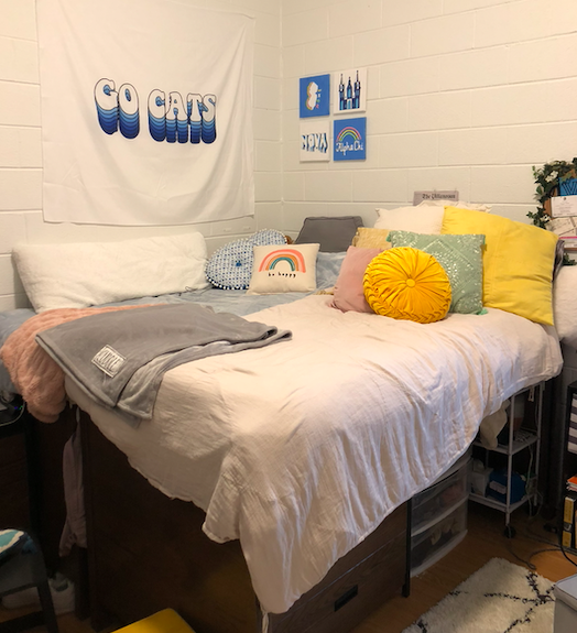 Roommates in Friar Hall construct a Megabed.