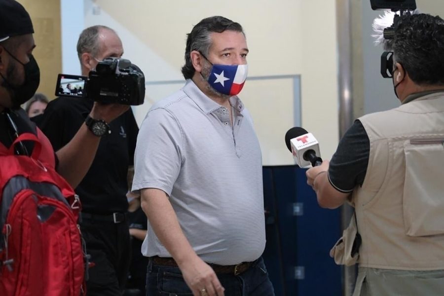 Ted Cruz wearing a Texas flag mask after returning from Cancún, Mexico. 