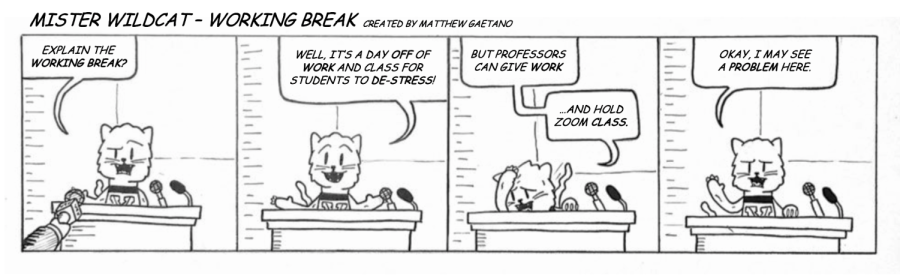 Mister Wildcat #4 - Working Break