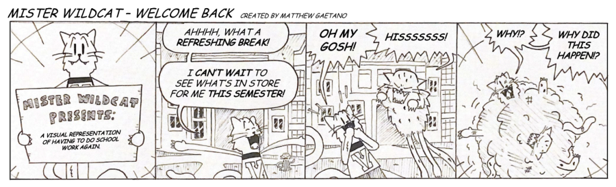 Mister Wildcat #25 - Welcome Back