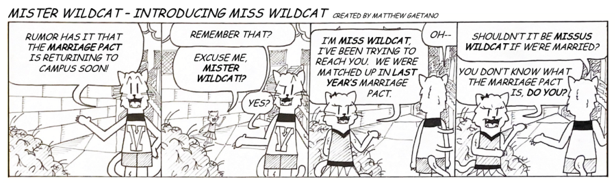 Mister Wildcat #27: Introducing Miss Wildcat