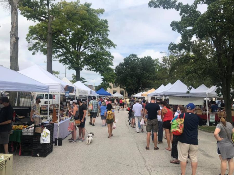 Families, students and pets shop at the Bryn Mawr Farmers Market on 9/17.