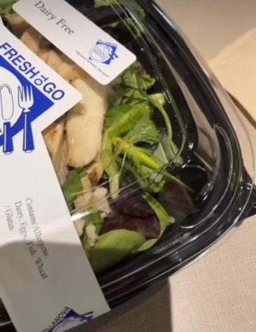 A freshman found a live grasshopper in her salad from Villanova Dining.