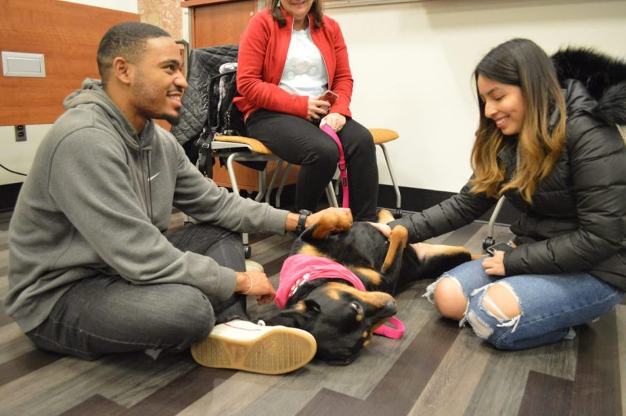 Students enjoy the Office of Health  Promotion’s Pet Therapy every Wednesday. 