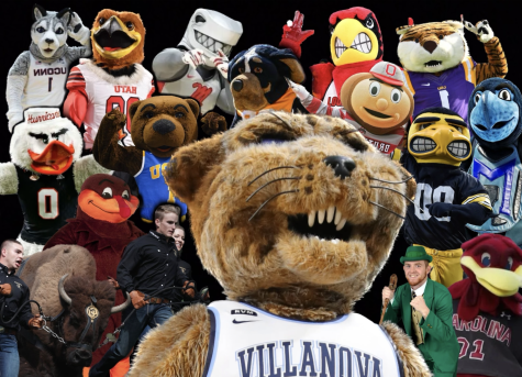 The remaining mascots in the Womens NCAA DI Sweet 16. 