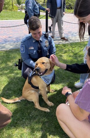 Taffy, public safetys new community canine, was sworn in at the ceremony last week.