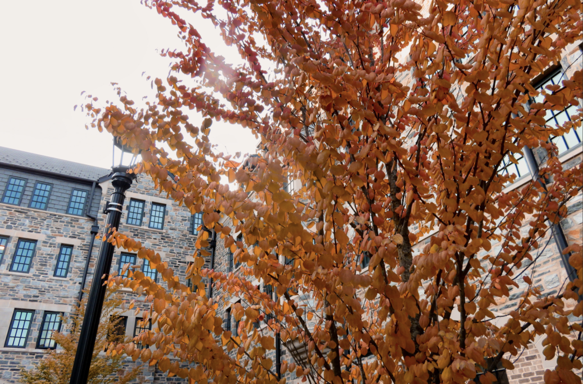 The+leaves+on+the+trees+beginning+to+turn+color+outside+of+Villanova+dorms.
