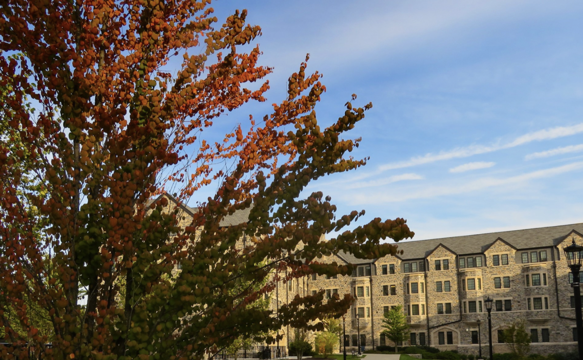 As temperatures drop and leaves change, students should appreciate all fall has to offer.
