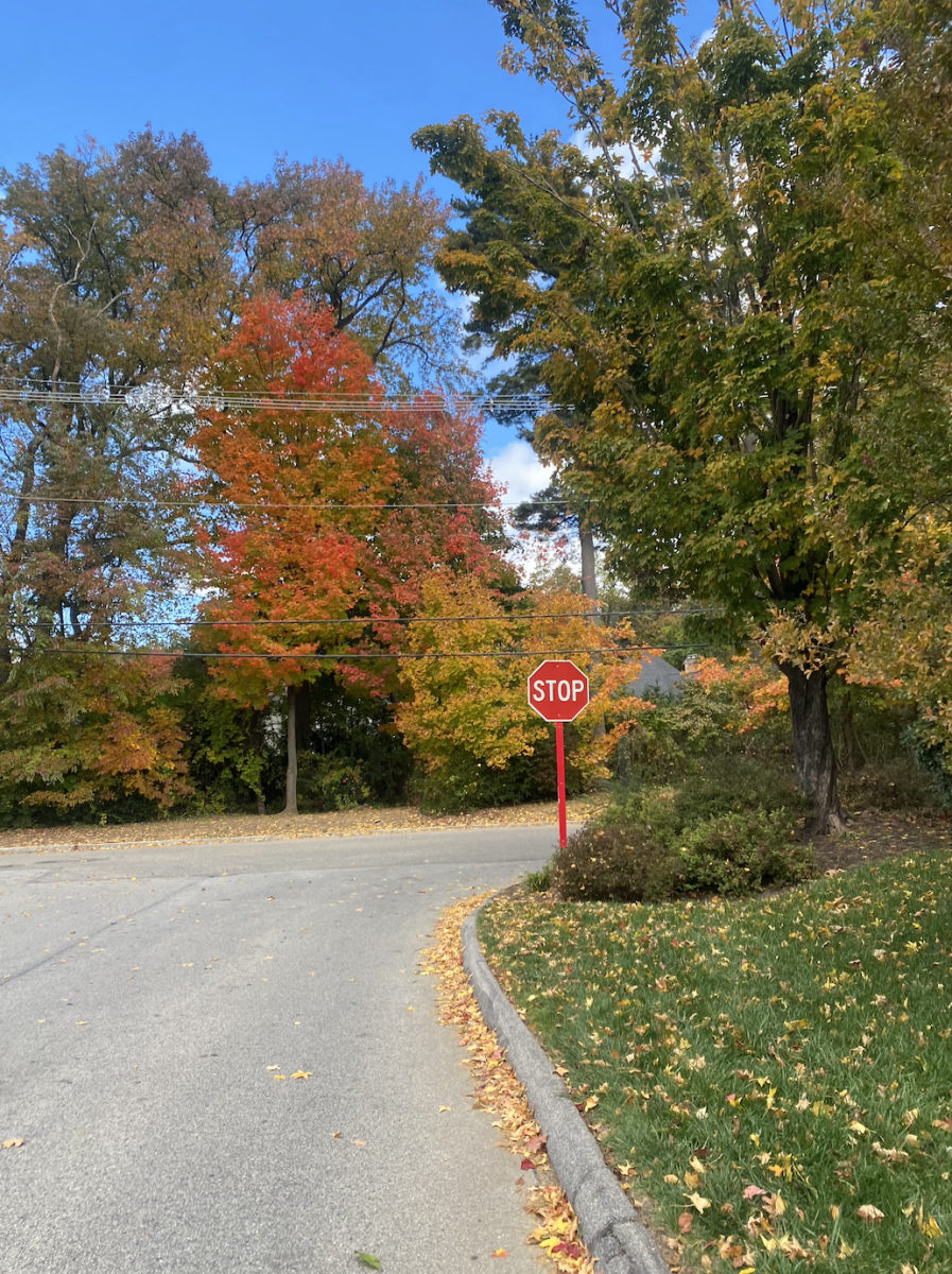 One of the best ways to celebrate fall at Villanova is taking a walk through the fall foliage. 