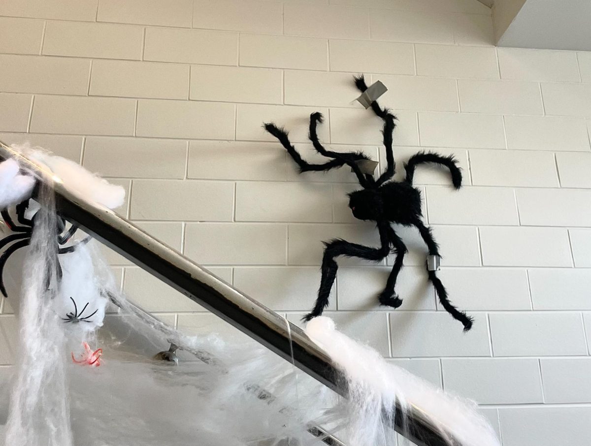 Spiders adorn one campus building to celebrate Halloween. 
