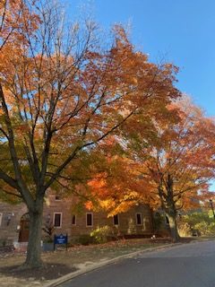 Consider tuning into a good podcast on a casual fall walk on campus.
