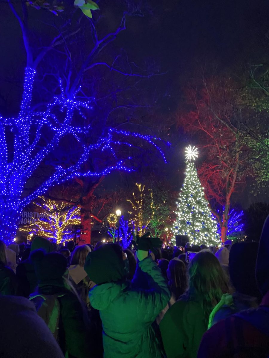 Consider attending free festive events like Villanova’s annual Christmas tree lighting .
