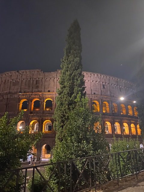 Villanova students planning on studying abroad in Italy are scrambling to secure Visas.