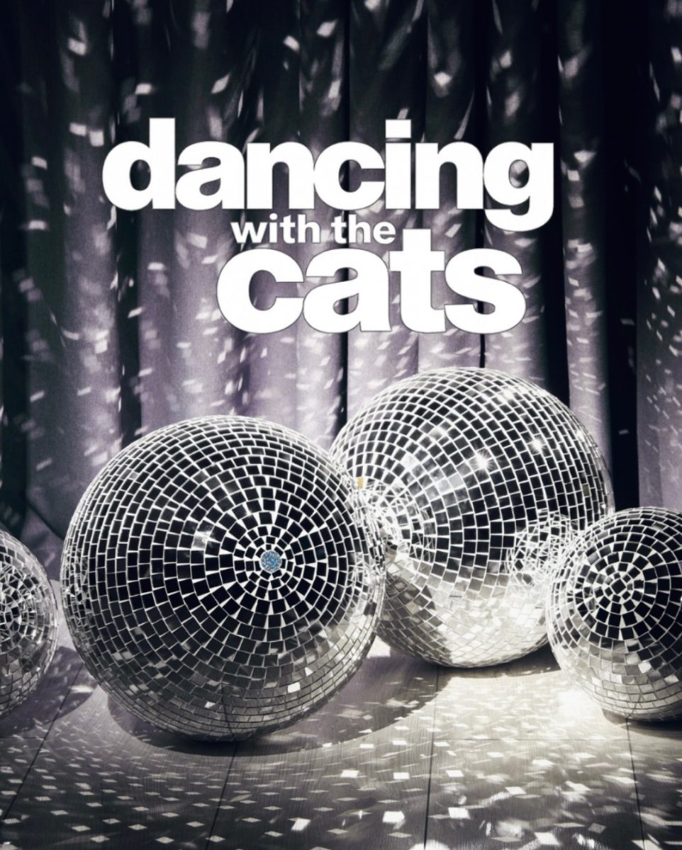 The cast of Dancing with the Cats is excited to show off their routines on Friday.

Courtesy of @novaseniorgift on Instagram