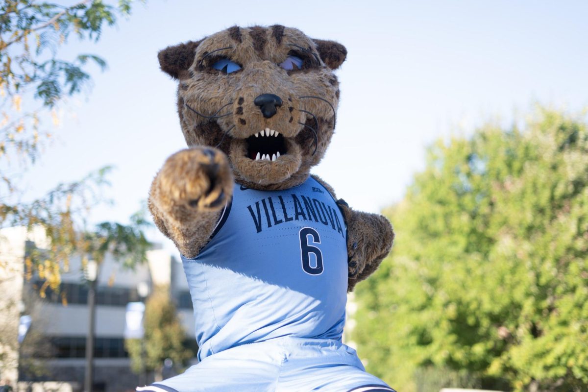 If you’re a staunch Mascot Judge, Will D Cat is definitely a strong contender.
