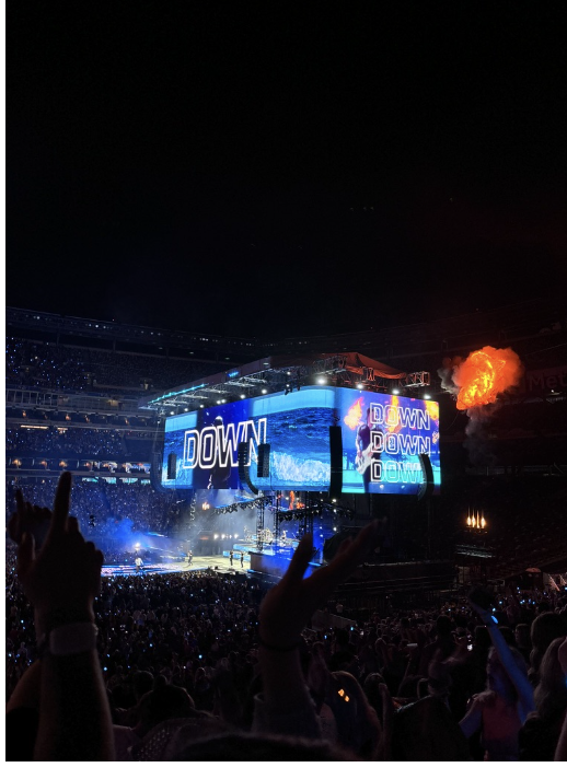 Seeing one’s favorite artist live is often a priceless experience.
